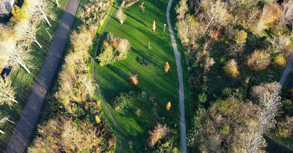 Aerial view of a park with green lawns and pathways surrounded by autumn trees.