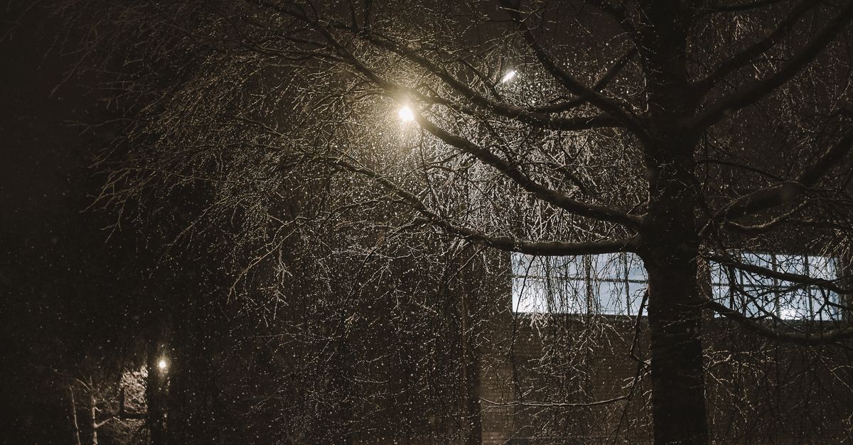 Capture of a winter night scene with a snow-covered bare tree illuminated by street lights.