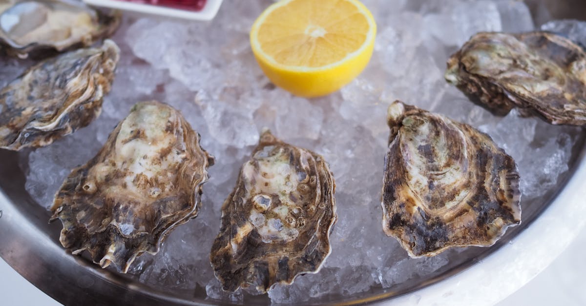 A gourmet seafood platter of fresh oysters served on ice with lemon and sauce.