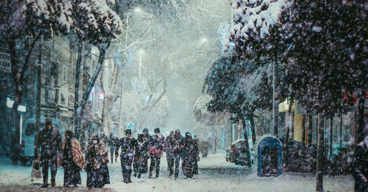 third_section_image_data.image_alt
