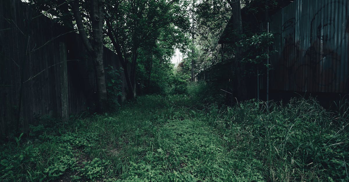 third_section_image_data.image_alt