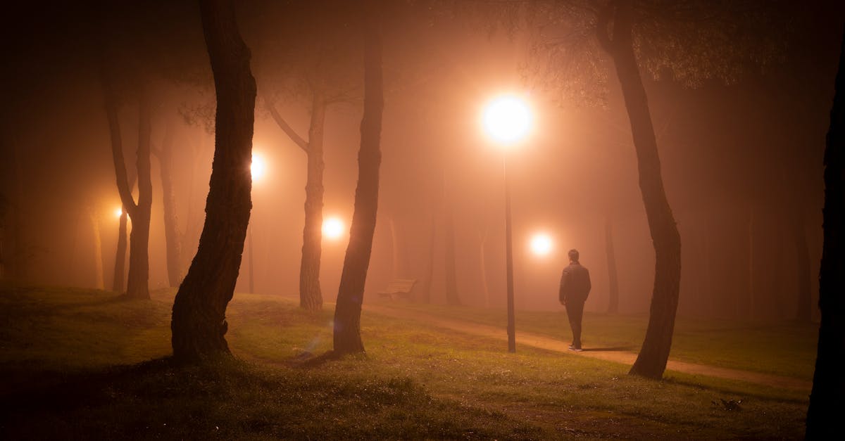 A lone man walks through a foggy park at night surrounded by illuminated street lamps and trees.