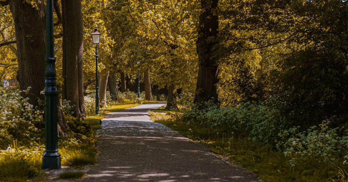 A tranquil walkway through a green park with trees and street lamps during a sunny day.