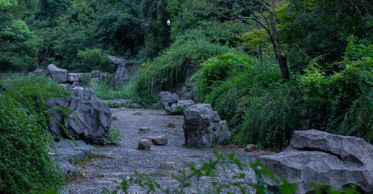 Peaceful forest path surrounded by greenery and large rock formations.