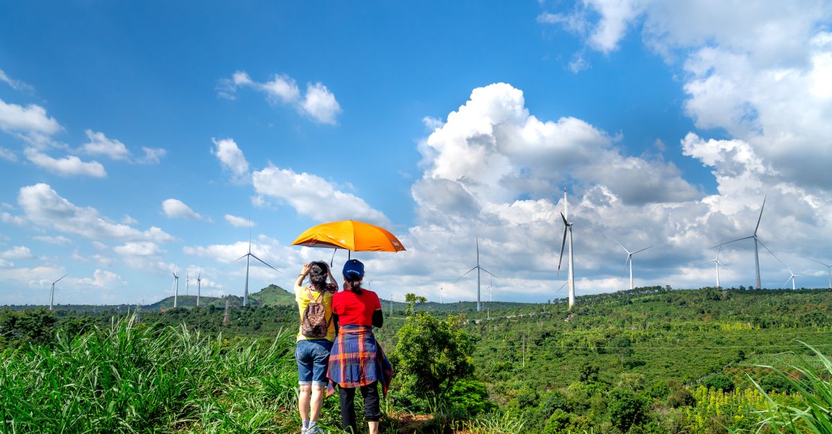 Two people under an umbrella view wind turbines on a sunny rural hillside.