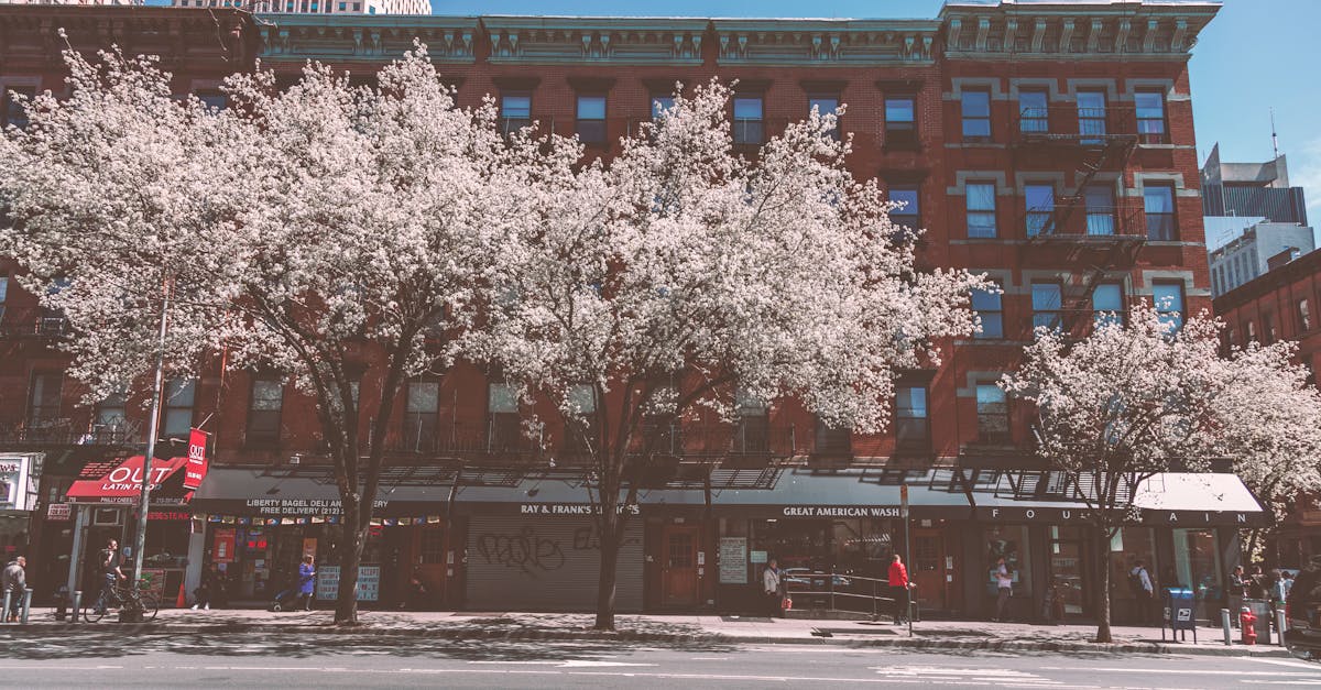 Charming New York City street with blooming trees and historic buildings in spring.
