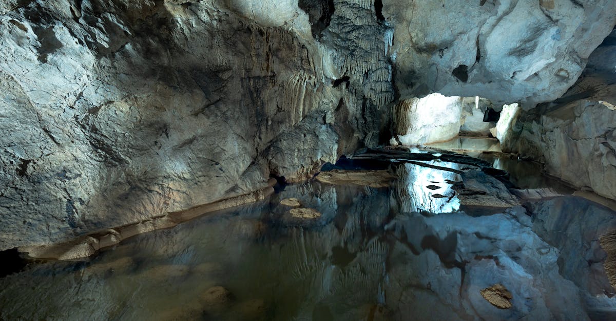 third_section_image_data.image_alt