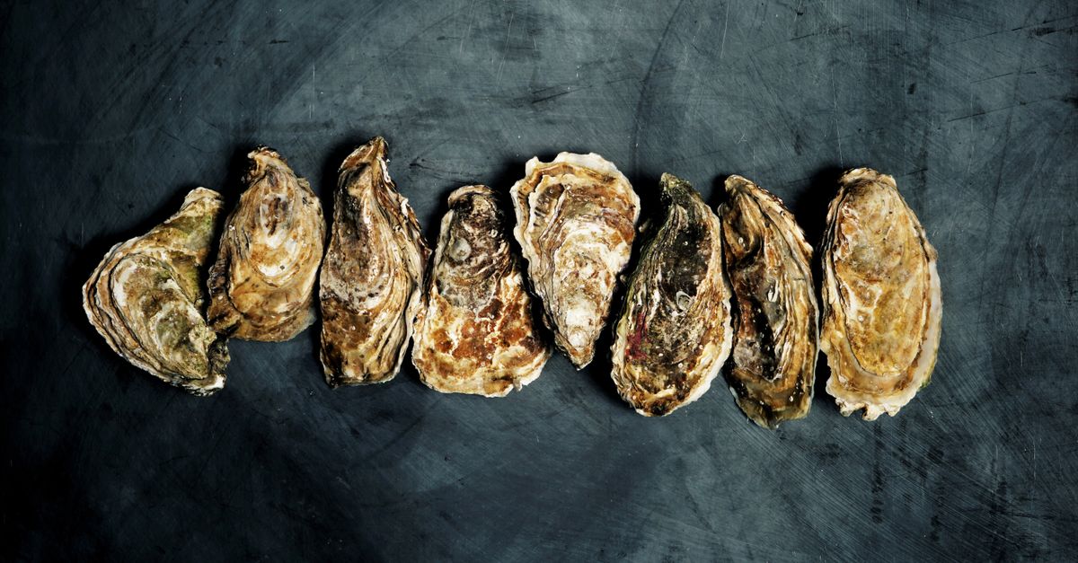 Top view of fresh oysters arranged in a row on a dark rustic surface.