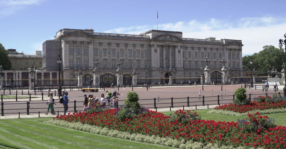 View of Buckingham Palace with lush gardens on a sunny day in London.