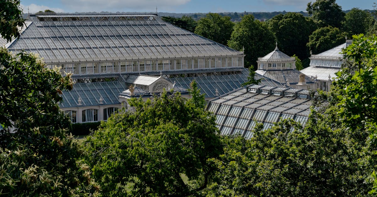 A beautiful shot of the glass conservatories surrounded by lush greenery at Kew Gardens.