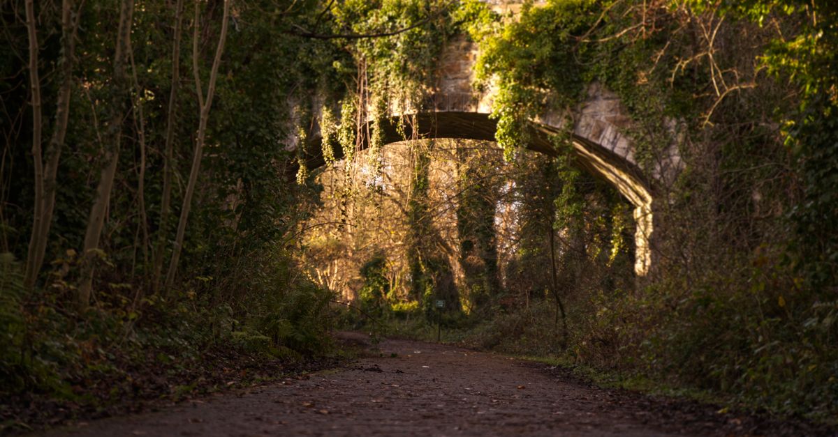 A scenic arched bridge covered with climbing plants over a lush path in Dalmeny, Scotland.