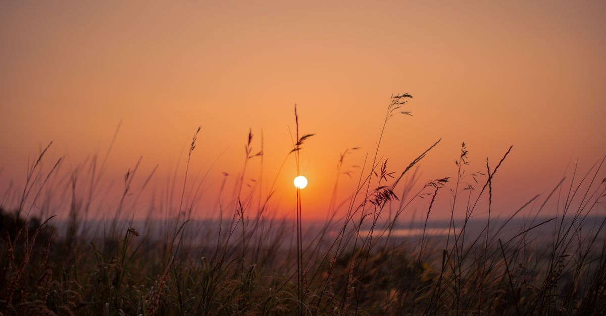 Peaceful sunset over a grassy field with a vivid orange sky, ideal for nature themes.