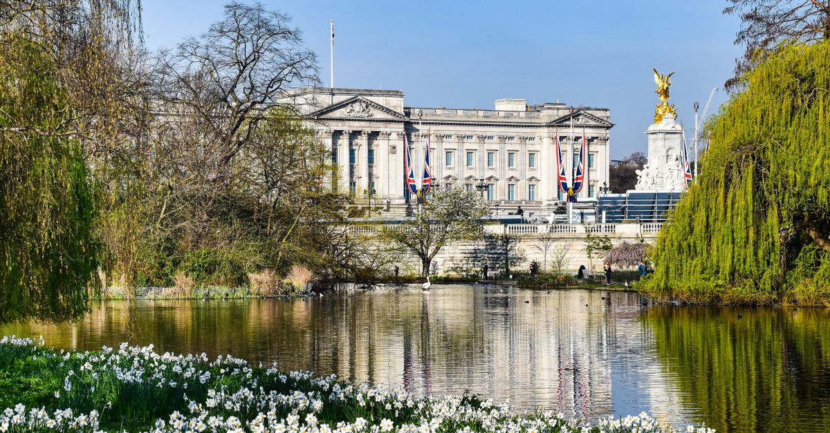 A tranquil scene of Buckingham Palace with blooming flowers in St. James's Park.