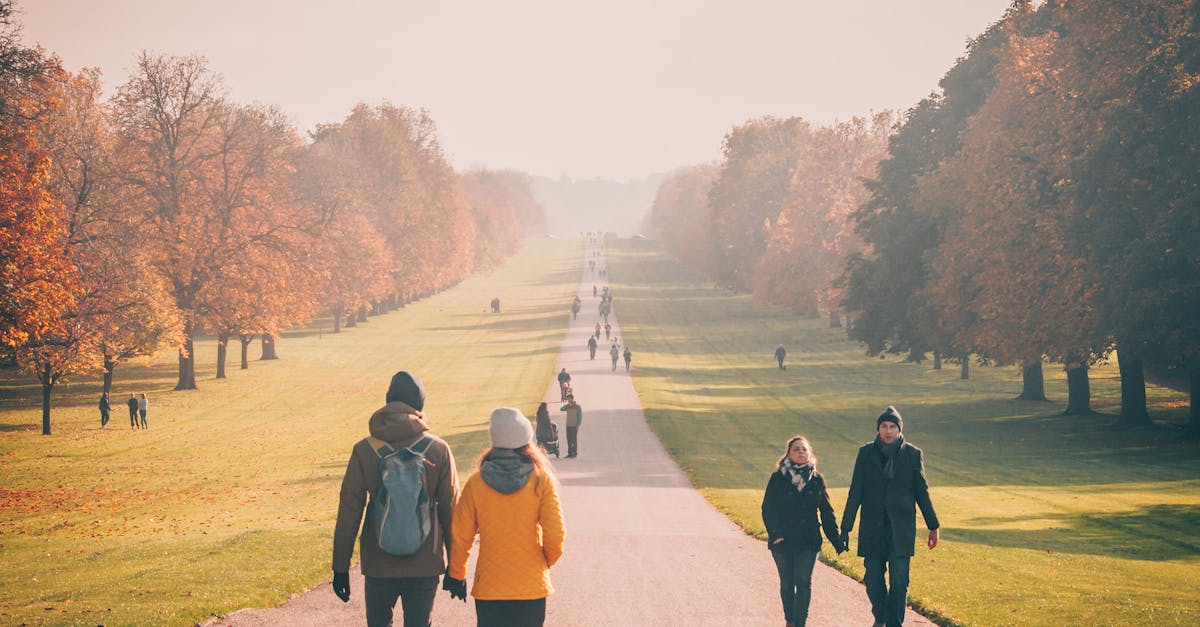 Couples enjoy a relaxing walk in a beautiful autumn park lined with colorful trees.