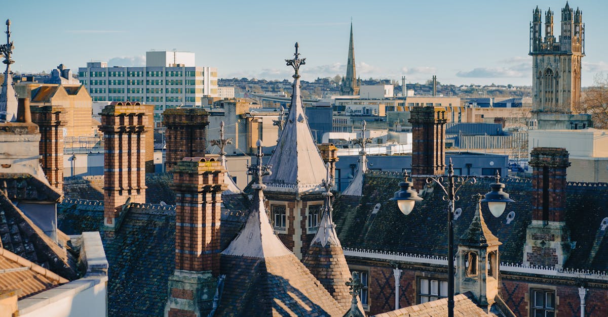Charming aerial view of urban rooftops with architectural detailing, capturing the essence of a historical townscape.