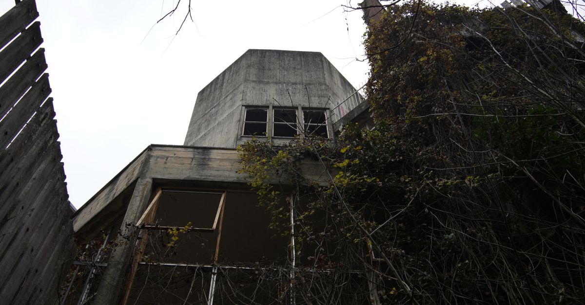 Creeping ivy overtakes an abandoned building, showcasing urban decay at its finest.