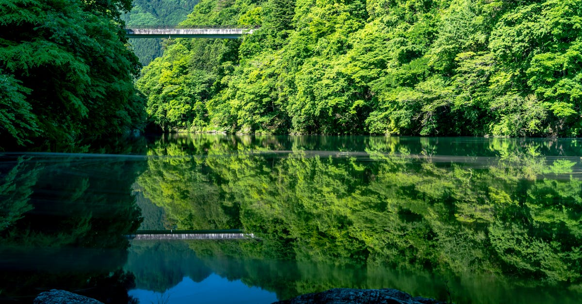 third_section_image_data.image_alt