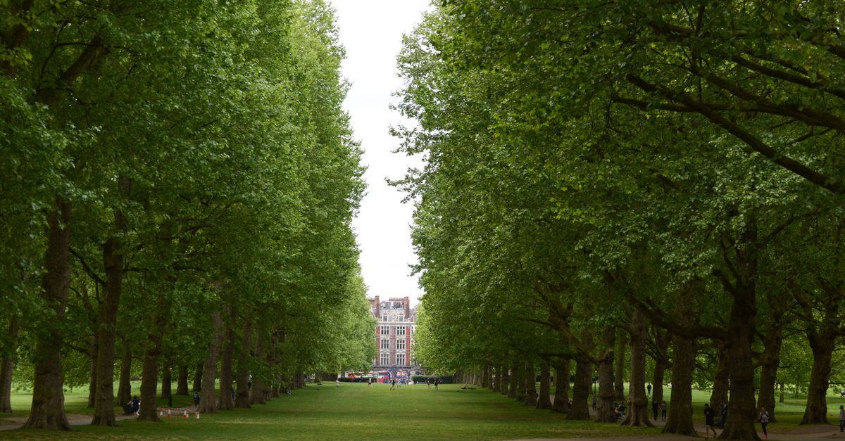 Serene park landscape with a tree-lined pathway leading to a historic building, ideal for summer walks.