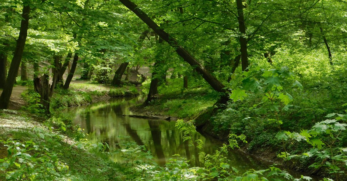 third_section_image_data.image_alt
