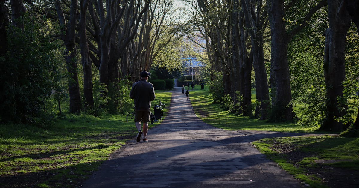 A peaceful walk down a shaded park path surrounded by tall trees.
