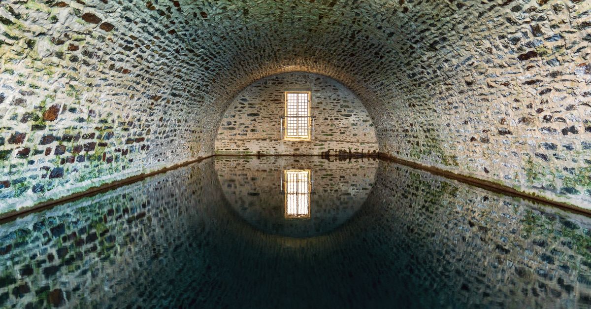 third_section_image_data.image_alt