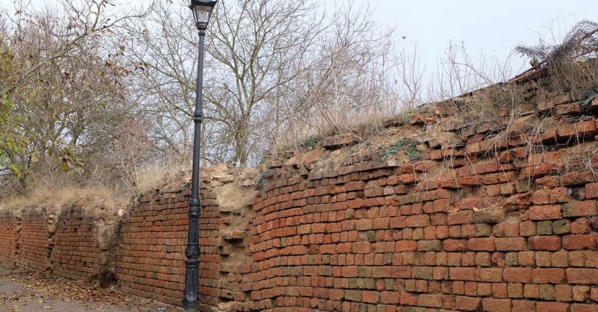A rustic brick wall and vintage street lamp in a serene outdoor setting.