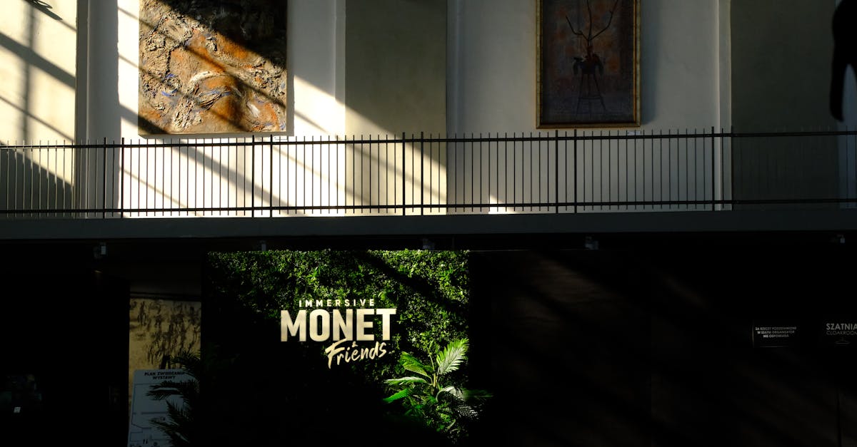 Sunlit art gallery showcasing the immersive Monet Friends exhibit signage.