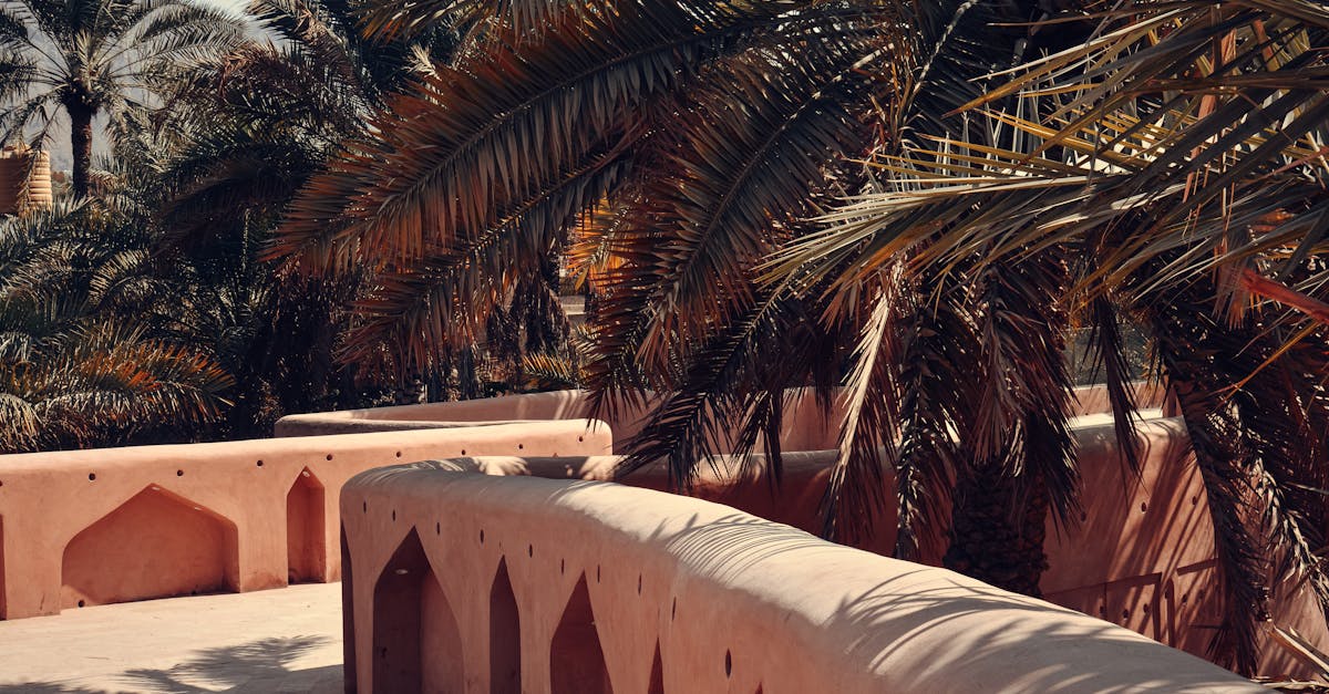 Serene Omani palm grove with traditional architecture, bathed in warm sunlight.