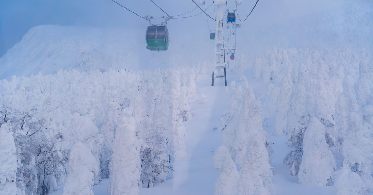third_section_image_data.image_alt