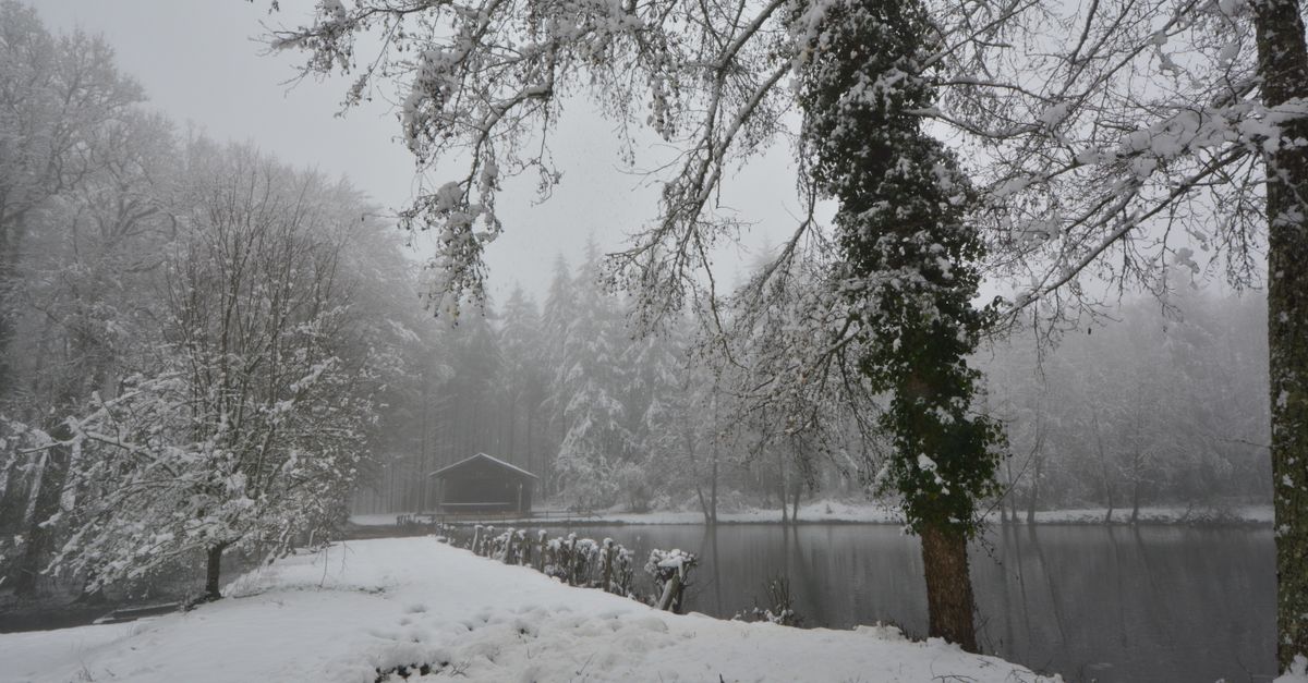 A serene winter scene featuring a snow-covered pond and trees.