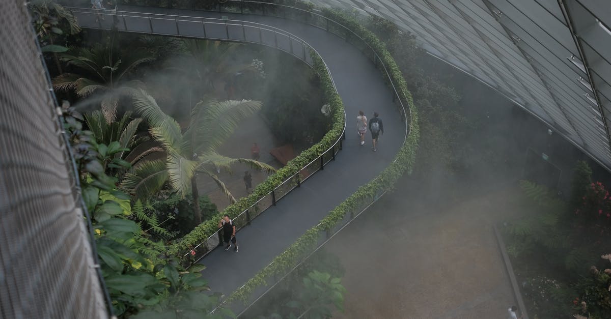 Explore the misty Cloud Forest walkway at Gardens by the Bay in Singapore.