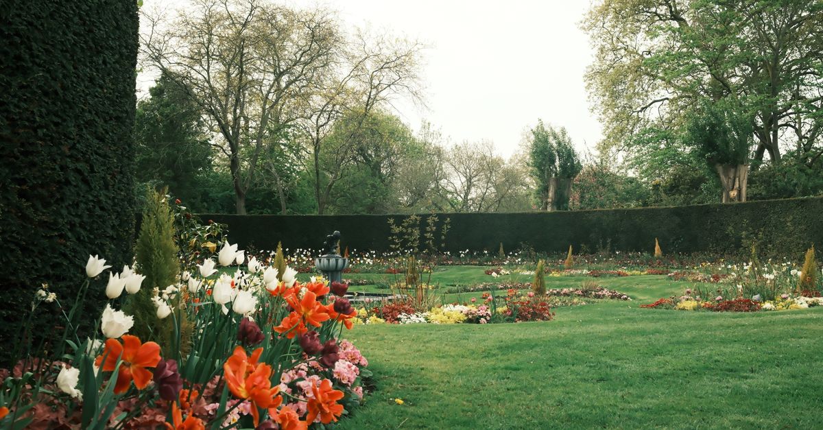 third_section_image_data.image_alt