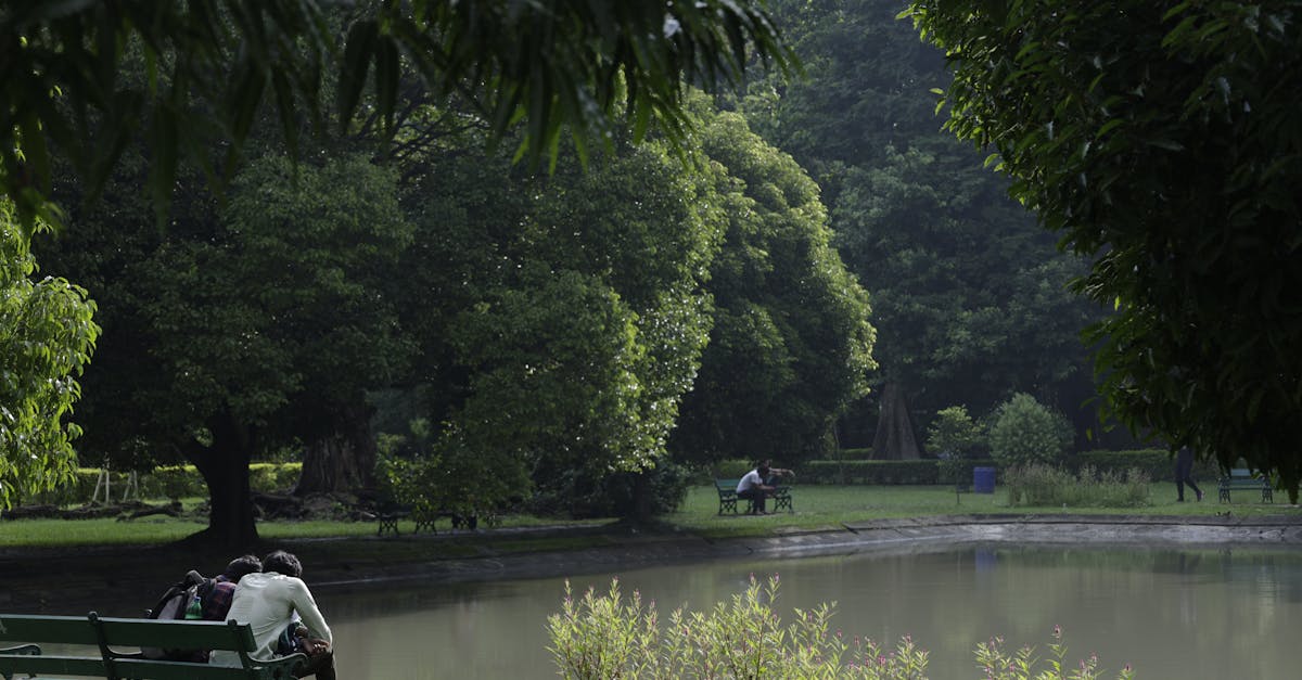 Peaceful park with lush greenery and people relaxing on benches by a pond.