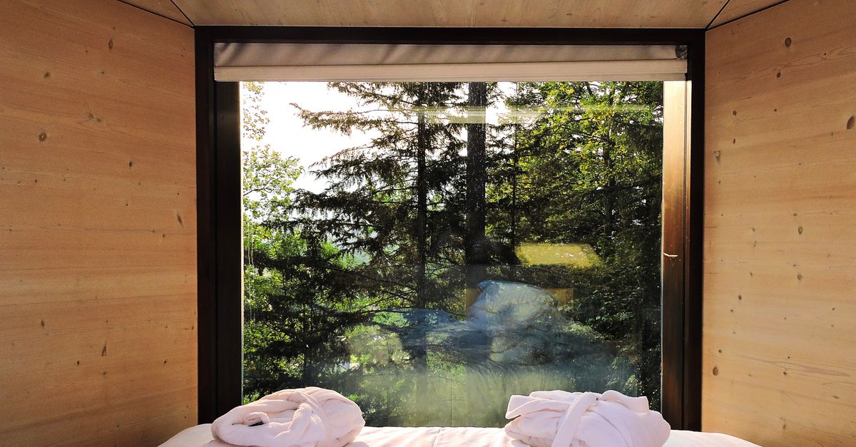 Experience tranquility with a forest view from a cozy cabin bed, perfect for relaxation.