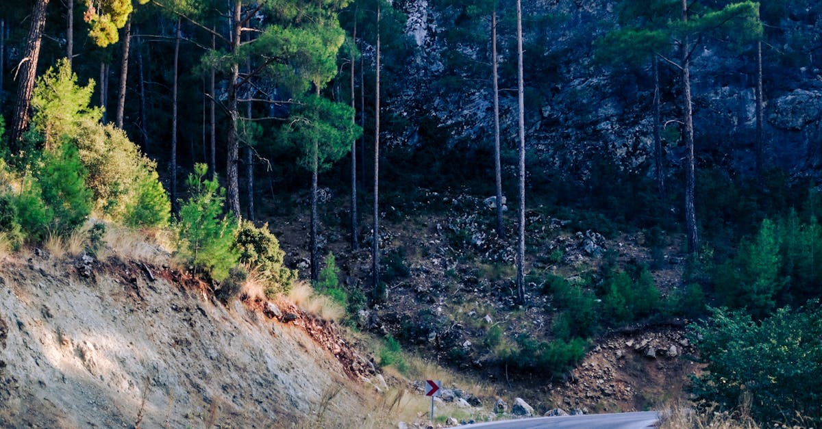 third_section_image_data.image_alt