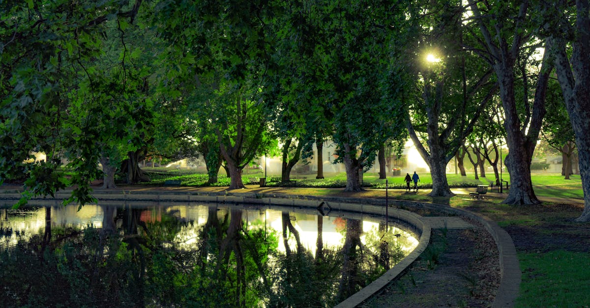 Serene park landscape in Perth with lush greenery and tranquil water reflections at sunset.