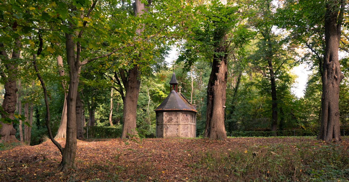 View of the historic St. Rosa Chapel surrounded by autumn foliage in Sittard, Limburg.