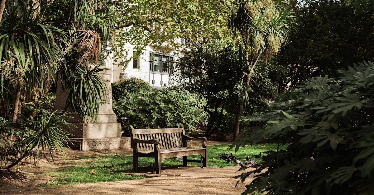 Serene park bench surrounded by lush greenery in a London garden.