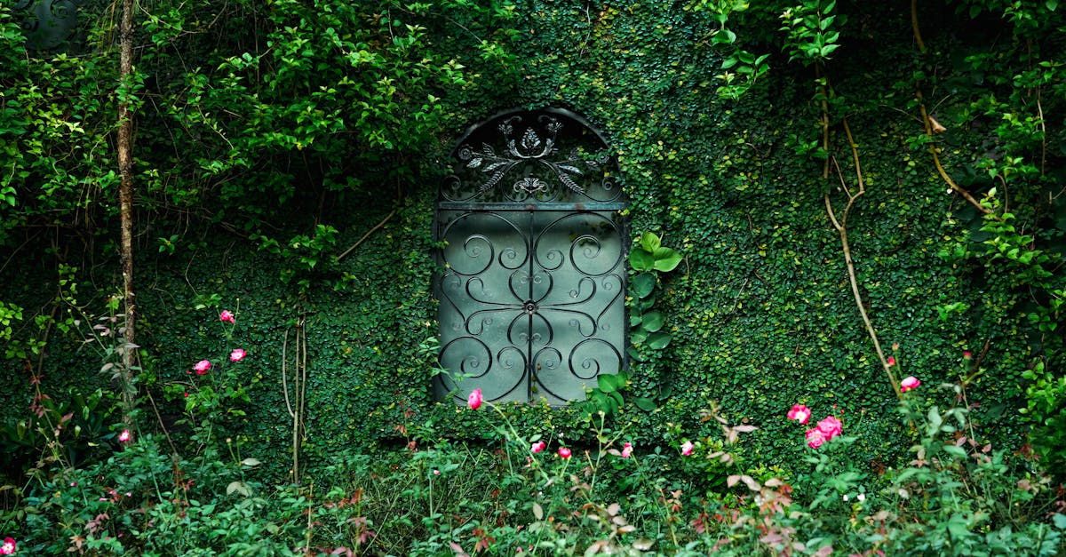 Elegant iron gate set in a vibrant, ivy-covered wall with blooming roses.