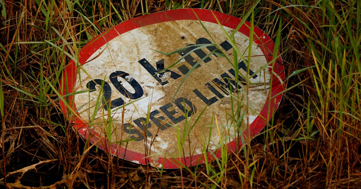 third_section_image_data.image_alt