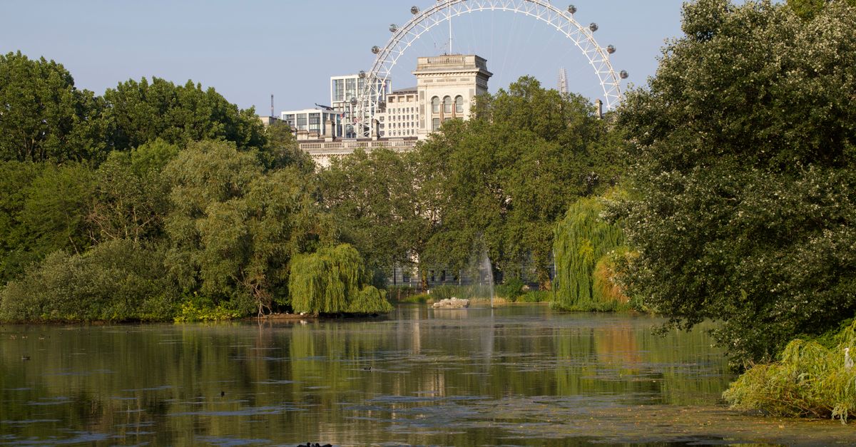 Scenic view of the London Eye from St James's Park with lush greenery and a tranquil lagoon.