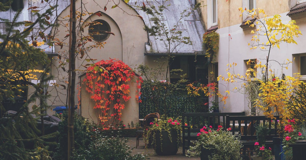 Serene courtyard with vibrant autumn foliage under soft daylight, perfect for tranquil moments.