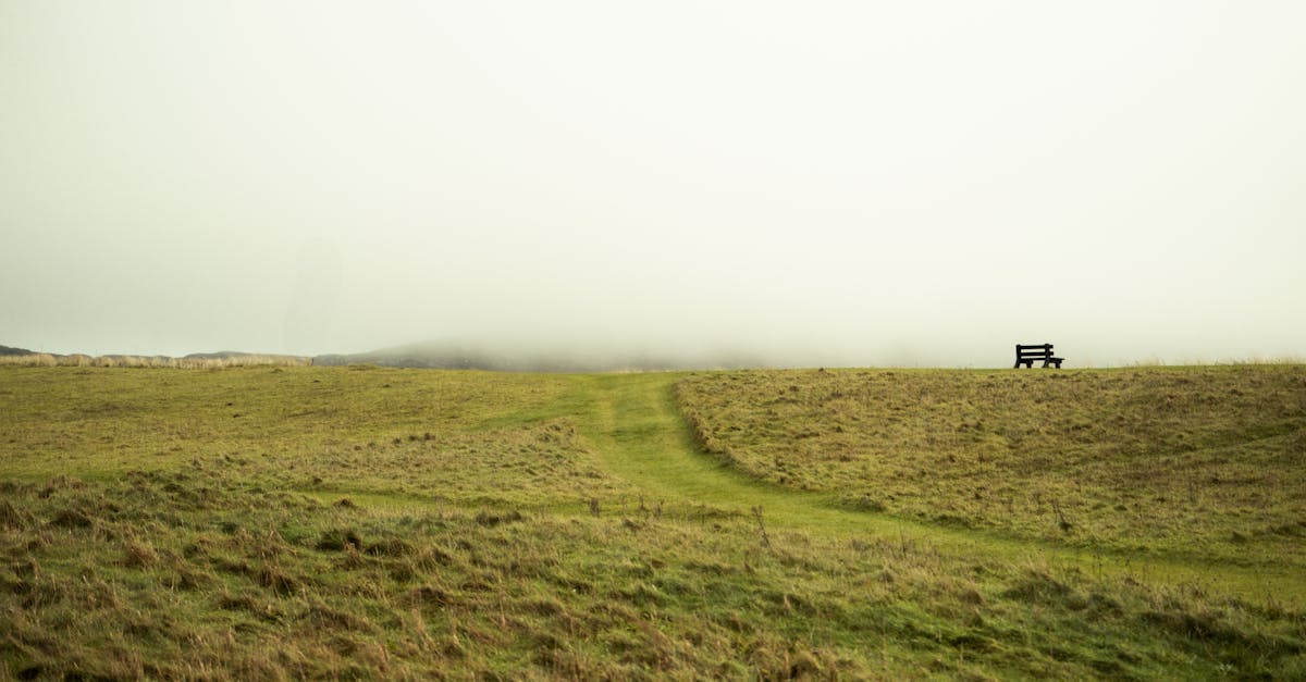 Tranquil foggy field in Ireland with a lone bench and pathway, evoking peace and solitude.