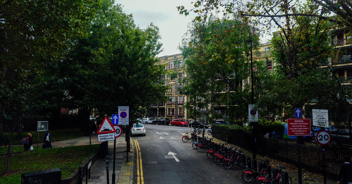 Scenic urban street view with parked bicycles and lush trees on a calm autumn day.