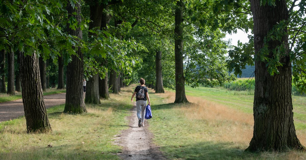 A person walks on a forest path surrounded by lush trees and greenery, capturing a peaceful moment in nature.
