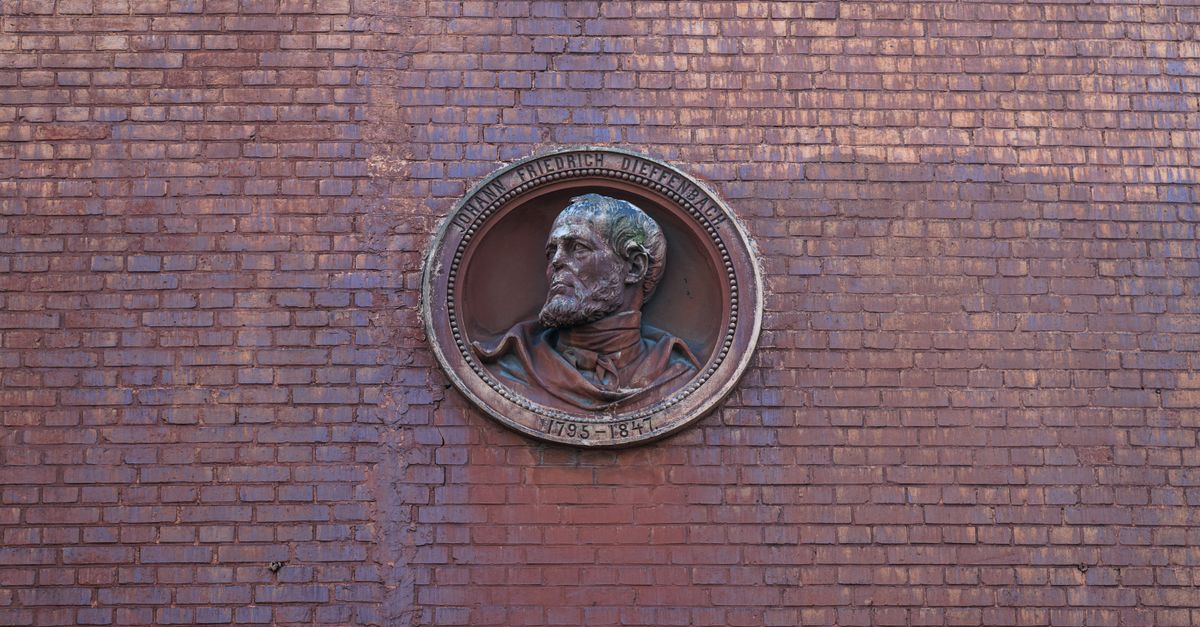 Bronze medallion on brick wall featuring a historical figure in Kaliningrad, Russia.