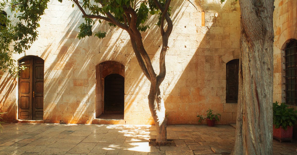 Beautiful sunlit courtyard with trees casting shadows on stone walls in Hama, Syria.