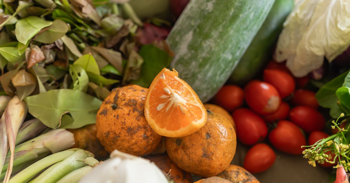 Colorful assortment of fresh organic vegetables and fruits including oranges, cucumbers, and tomatoes.