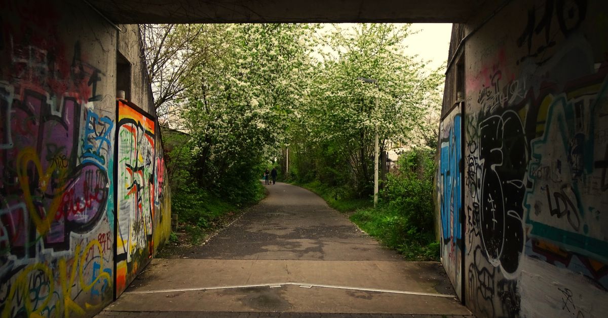 A vibrant graffiti tunnel opening to a scenic pathway lined with flowering trees in Bonn, Germany.