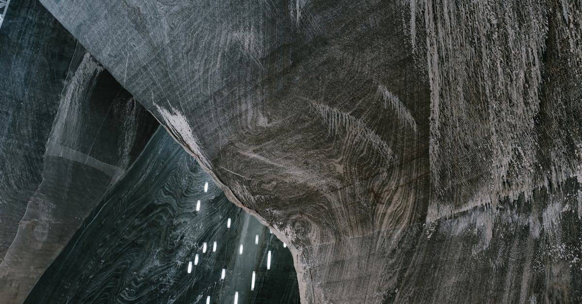 third_section_image_data.image_alt